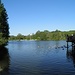 an der Amper bei Fürstenfeldbruck