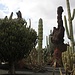 Si tratta di un museo naturale fatto per valorizzare la flora, che qui, nonostante tutto, è rigogliosa: il terreno vulcanico nero sottolinea con forza il contrasto con il verde delle quasi 1500 varietà di cactus
