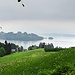 Der Weg steigt in die Hügelandschaft oberhalb Luzerns. Vis-à-vis im Dunst das Meggenhorn mit Schloss, an denen die [tour131460 vorangegangene Etappe des Waldstätterwegs] vorbeiführt.