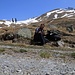 Im Val Tuoi aud 2100m bin ich wieder zurück im Bergfrühling.