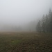 Bei schönem Wetter muß diese Wiese ein landschaftliches Schmankerl sein - ich habe aber Pech, gerade ziehen hier Nebel durch, die Sicht ist leider Null.
