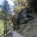 Sentiero per Monti di Mezzocorona