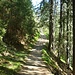Durch den Wald geht es in das Tal Žiarska dolina hinein.