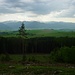 Über hügelige Moränenlandschaft schaut man in die Niedere Tatra.