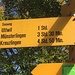 Start in Romanshorn