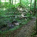 Eine fantasievoll gestaltete Brücke bei der Batzberghütte