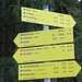 Mein Rückmarsch führt über den Fleck, zwischen Gründberg und Haaralmschneid gelegen.