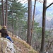 Abstieg über den Stangelsteinweg