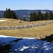 Auf 1300m am Waldrand oberhalb der Alp Piéce à Ferdinand ist die Schneegrenze erreicht.
