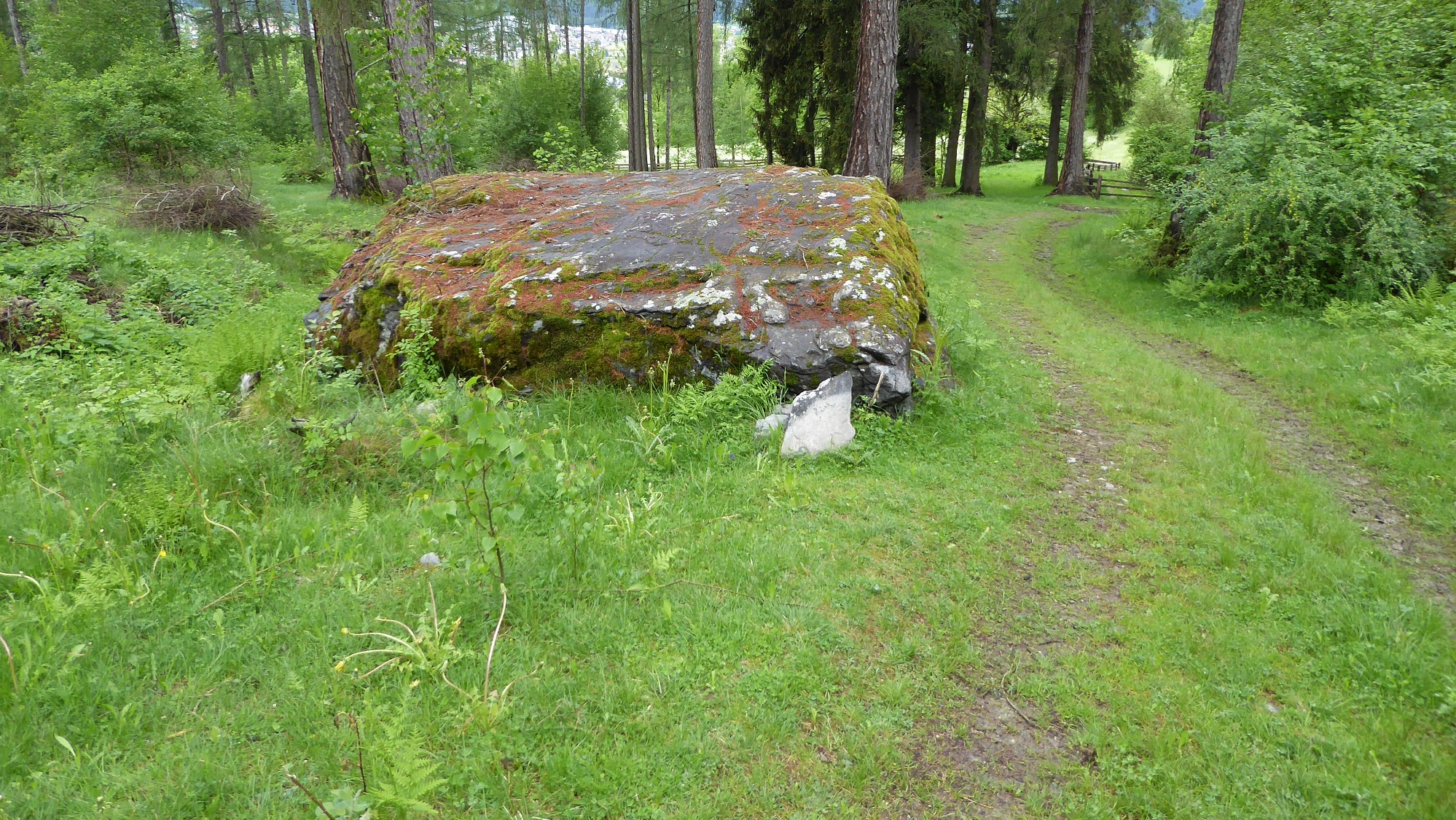 erster Schalenstein Fotos