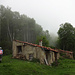 Bei den baufälligen Hütten von Ai Barchi geht es hinein in den Nebelwald