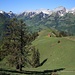 Im Aufstieg zur l'Aiguille.
