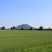 Blick zum Berg Říp (Stankt Georgsberg), dem heiligen Berg der Tschechen