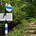 Von Schuttannen her kommend ist das der Einstieg in den wbw markierten Normalweg auf den Bocksberg.