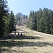 Aus dem Wald hinaus und weiter hoch zum Kamm