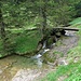 im unteren Teil des Aufstiegs von Jakobsbad hat's tolle Abschnitte des Wissbachs. Das Wasser im Nagelfluhgestein ist sehr hüsch anzusehn...