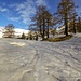 Verso l'Alpe Sponda, la neve è ancora tanta