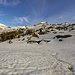 Alpe Sponda sotterrata, il tetto dal peso della neve era bello piegato