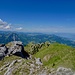Blick vom Gipfel des Chöpfenbergs Richtung Zürich und Rapperswil.