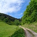 Wir durchqueren den winzigen Ort und folgen dem Weiherbach hinauf zum Waldrand.