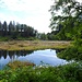 1758 staute man den See an, als Mühlenweiher für talab liegende Mühlen, und zur Forellen- und Karpfenzucht. Das Moor schimmt heute großflächig auf und bildet eine schwimmende Torfinsel.