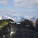 Vorn die Kette Wiggis - Schijen, hinten die noch tief verschneiten Berge im Grenzgebiet Schwyz - Uri