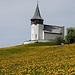 Frauenkirchlein mit schönem Blumenteppich