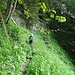 [u Lena] im botanischen Teil des Jägersteigs. Der sehr schmale Pfad ist schon fast überwuchert.