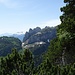In der Legföhrenzone am Bogartenfirst. Der Blick zu den Kreuzbergen.
