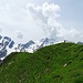 Kontrast grün-grau: Am Gipfel der Marwees (P. 2056 m)