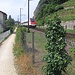 Direkt an der Bahnlinie mit dem ICN Genf- Basel