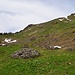 Oberberg, eine Art Kessel am Südhang des Wilerhorns.