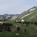 Alp-Landschaft auf der Nordseite. 