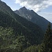 I boschi di Pec'Negher e della Loccia di Lei (si intravede il ripetitore) con il Monte Larone sullo sfondo