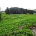zuerst führt der Weg ein wenig nach rechts, dann biegt der nach links ab und erreicht die Hütte ganz links