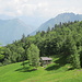Alpe Ruscaa 1350 mt.