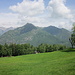 Alpe Pianaccia 1300 mt.