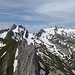 Altmann und Säntis, davor Freiheittürme