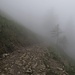 Alpweg hinab zur Unterfluhalpe...dicke Nebelsuppe.