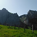 Bockmattli and Schiberg.
