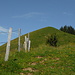 Brüschstockbügel.