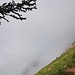 Der Nebel zieht mit