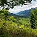 Und immer wieder lohnt sich ein Blick in die Ferne....