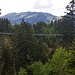 Der Skywalk beim Mostelberg