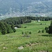 Alpe Tagliata