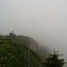 Nebel auf der Alp Sigel
