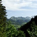 Ab dem Abzweiger "Schluchen" geht es steil durch einen schönen Wald hoch nach Obwald