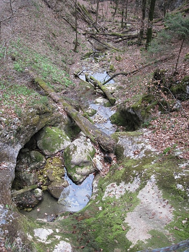 hübsche Stufen des Bachs - von der kleinen Brücke aus... [hikr.org]