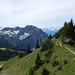 Abstieg vom Schnippenkopf (1833 m) zur Falkenalpe<br />