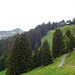 Rückblick auf das Berghaus Schwaben (1509 m)